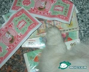 有钱女露富，引爆网友跟帖显摆