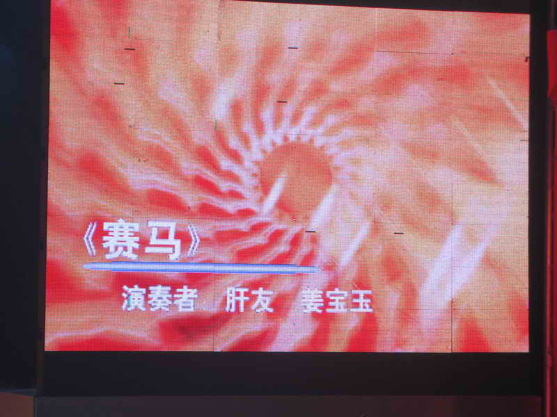 [原创]    滨海拾贝   庆典花絮