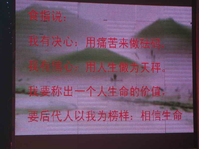 [原创]    滨海拾贝   庆典花絮