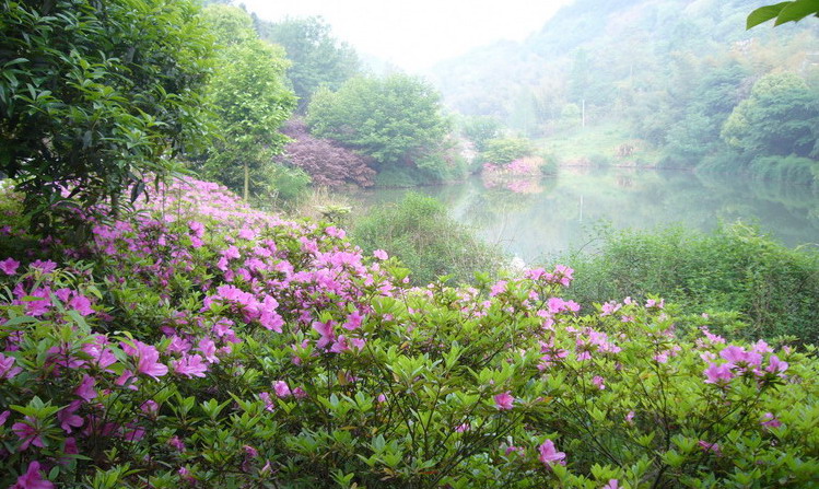 与您共赏美景
