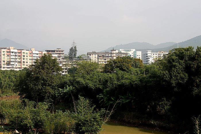 秋到沙洲