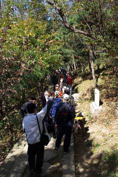 登北京慕田峪长城无限风光在险峰
