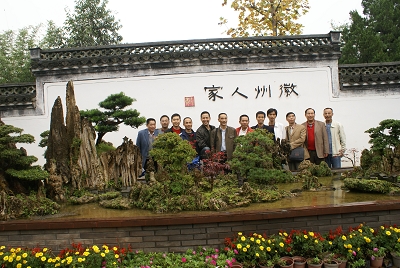 我喜欢的盆景-----枯枝新芽