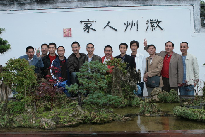 我喜欢的盆景-----枯枝新芽