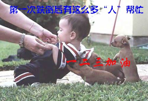 [转帖]我的第一次