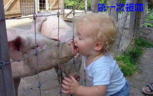 [转帖]我的第一次
