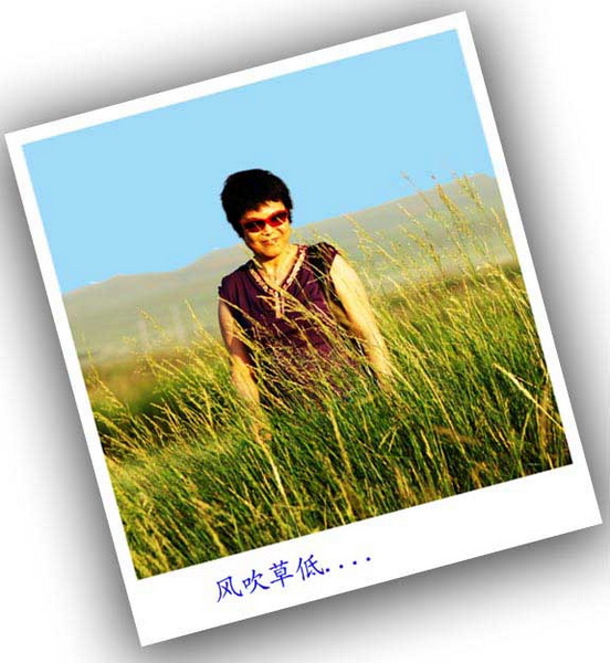 内蒙古草原行