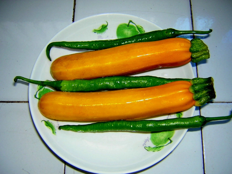 清淡的菜