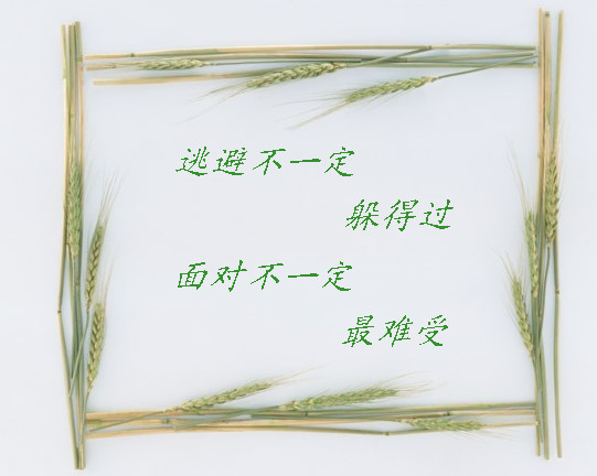 ????灌水盖楼????