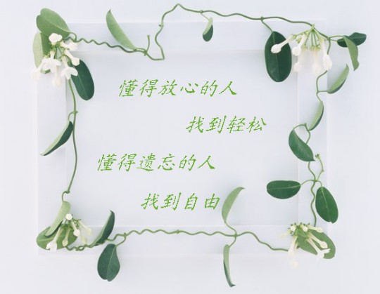 ????灌水盖楼????