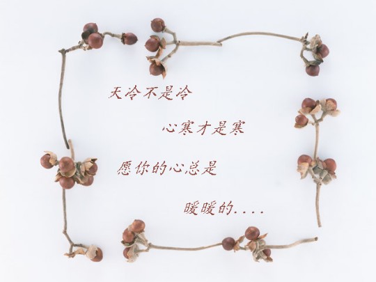 ????灌水盖楼????
