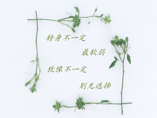 ????灌水盖楼????