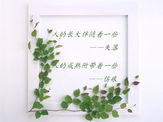????灌水盖楼????