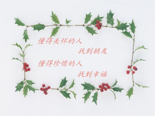 ????灌水盖楼????