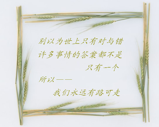 ????灌水盖楼????