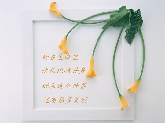 ????灌水盖楼????